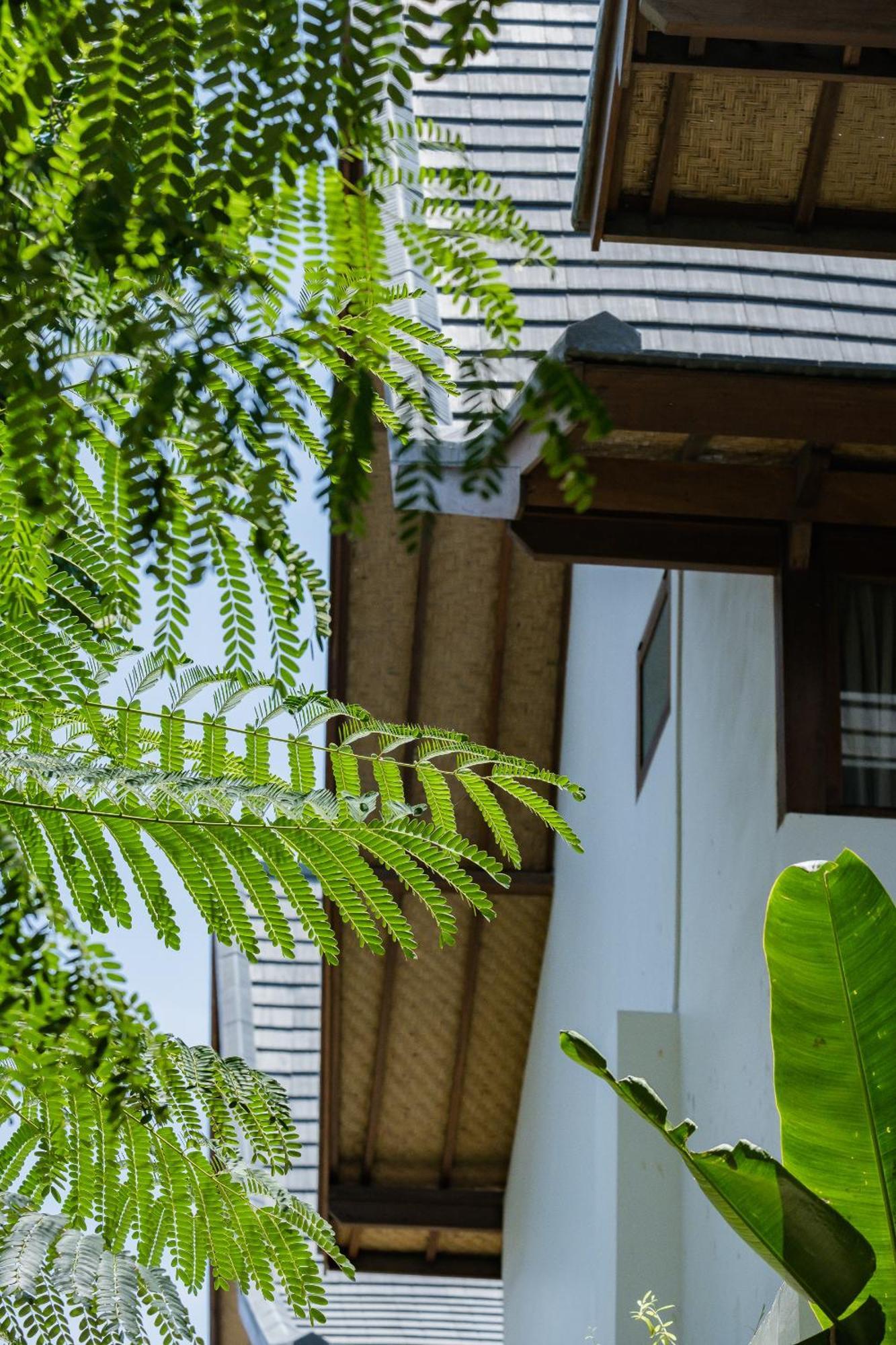 Treetop 1 - Spacious 3-bdr W Master Loft & Ocean Views Villa *